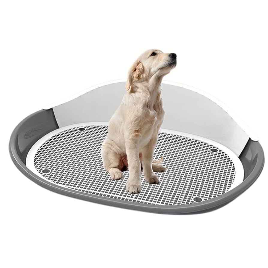 Amazon | 大犬トイレ 犬 トイレ トレー ペットトイレ 犬用トイレ